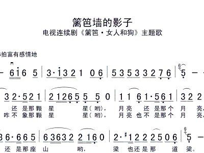 有了新朋友,不忘老朋友。这是哪首歌里的歌词?