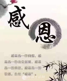关于感恩的名言名句。