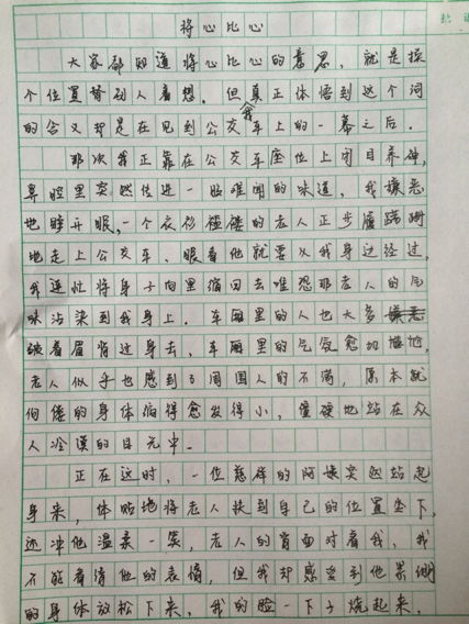 写人作文500字