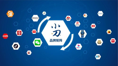 势不可当的拼音和组词，势不可挡的拼音是什么意思