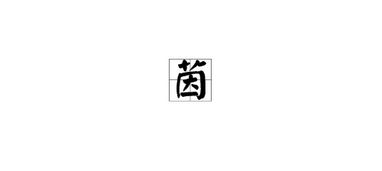 茵组词拼音，茵组词二年级下册语文