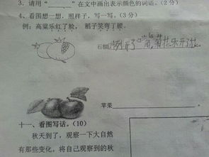 苹可以组什么词语 苹可以组哪些词语