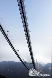 缆怎么读