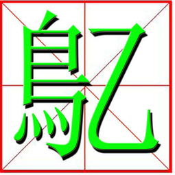 闲加一个鸟，闲加鸟念啥