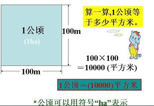 一平方千米等于多少公顷公式，一平方千米等于多少亩