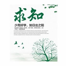 cerebrolysin脑活素，cerebrolysin10ml 哪个国家生产