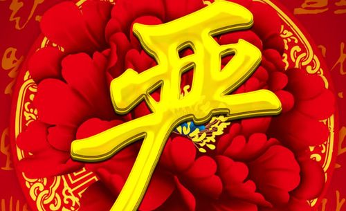 姓严的名人明星，姓严的名人历史人物