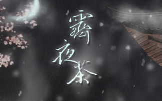 霁夜是什么意思