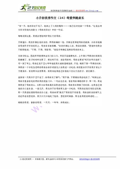 母爱优秀作文