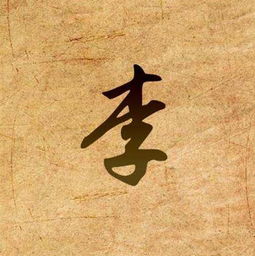 李笔画顺序