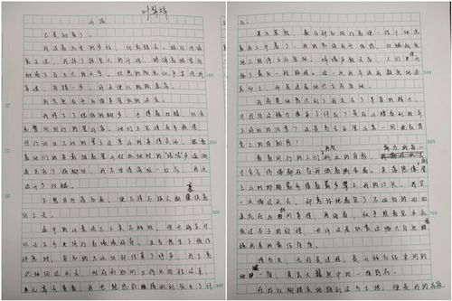 得与失作文题目，得与失作文提纲