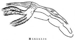 little英语怎么说