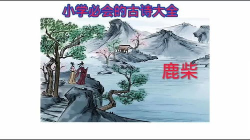 四年级鹿柴古诗全诗的意思，鹿柴古诗全诗的意思复的意思