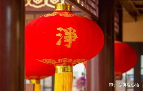 立地成佛中的度化是什么意思?