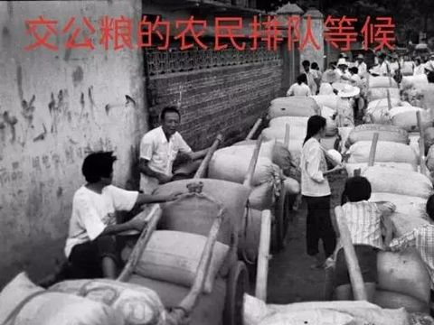 公粮[gōng liáng]什么意思?近义词和反义词是什么?英文翻译是什么