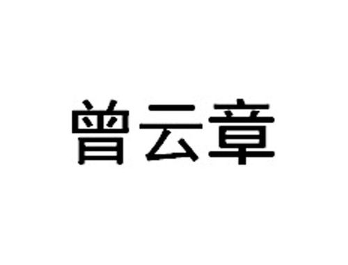 赏析:荡胸生曾云决眦入归鸟