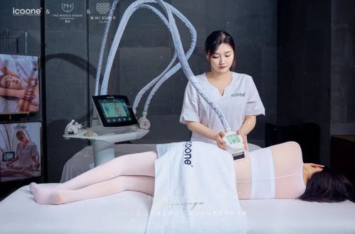 alveolar齿龈音有哪些