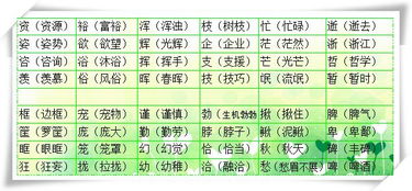 讲的组词一年级，进的组词有哪些