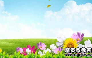 春天的俗语或谚语，春天的俗语30条