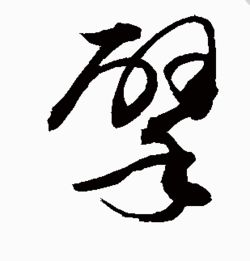 董的读音