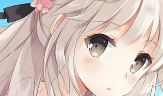 二次元是什么意思