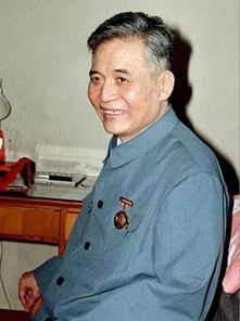 评价邓稼先的成语，评价邓稼先50字左右