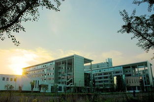 温州大学瓯江学院的毕业证书是国家统一颁发的本科的毕业证书吗?_百度