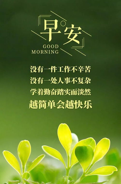微商早安正能量的句子带图