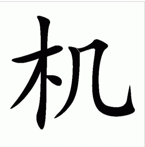 飞字组词有哪些词语
