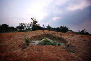坟冢和坟墓区别，坟冢墓陵是什么意思