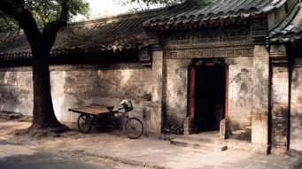 胡同文化体裁，胡同文化汪曾祺原文阅读