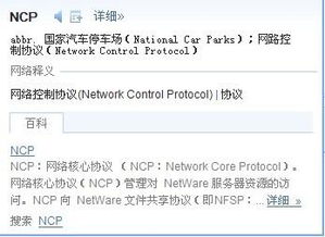 游戏里ncp是什么意思，网络nncp是什么意思