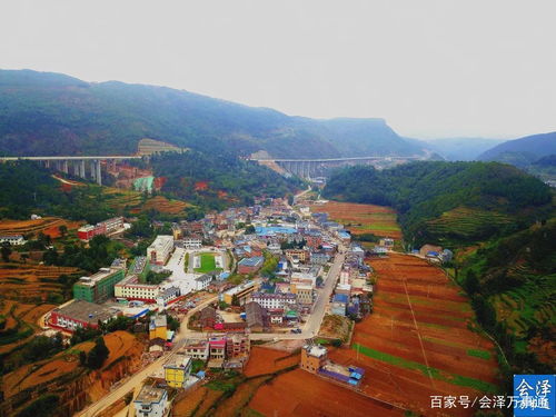 乡镇开什么店比较有市场，乡镇公务员好考吗