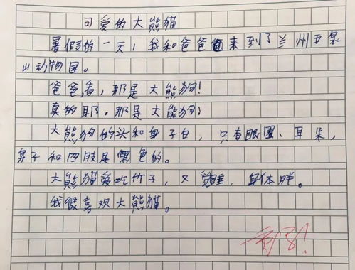 期末考试失败反思总结作文12篇