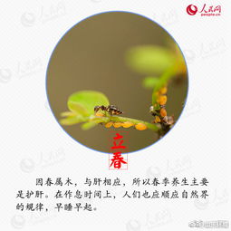 大寒节气是什么意思啊?