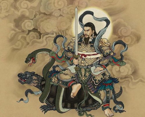 玄奘所在的东土大唐属于什么洲