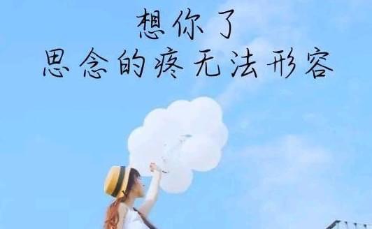 伴随着你天空之城，伴随着你中文版翻唱