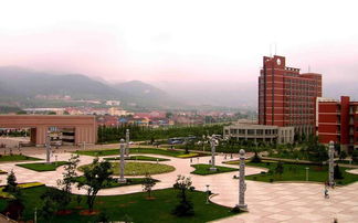 山东科技大学在哪个区