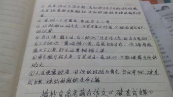 高考作文优美片段摘抄200字