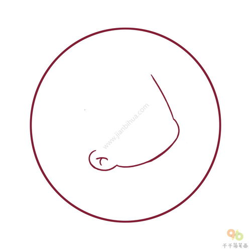 李笔画顺序怎么写，李笔画怎么写
