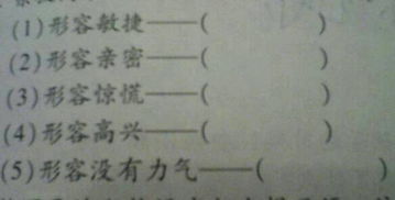 含有手字的成语