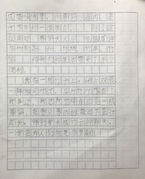 用一种植物写作文三年级下册