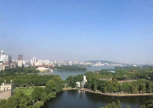 今天武汉新洲天气预报,中雨转暴雪?
