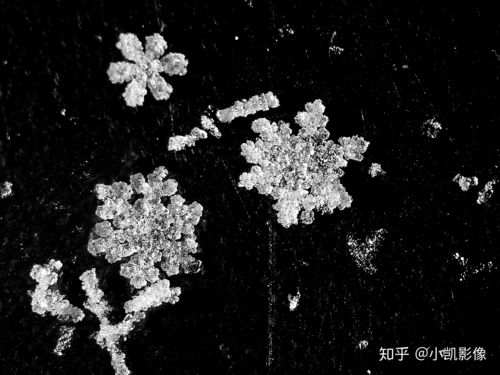 松花蛋里的雪花是怎么形成的，雪花是怎么形成的图片