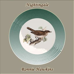 Nightinga|e译中文
