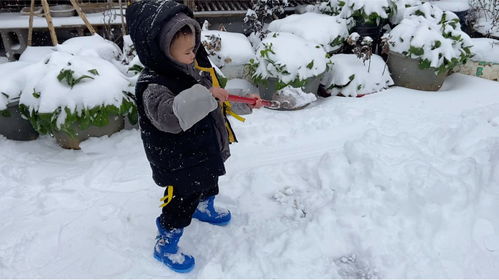 冬天到了,说一下孩子们在雪地里堆雪人,打雪仗的看图写话