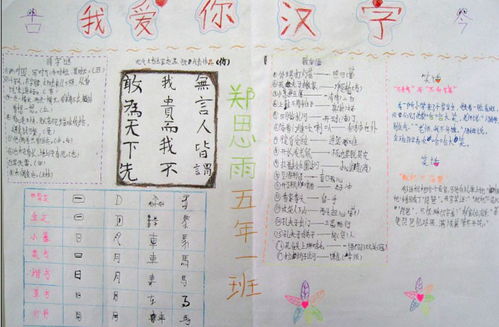 春字的演变过程手抄报 汉字的手抄报