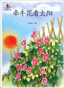牵牛花优秀作文