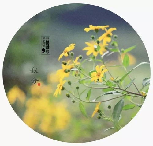 秋词二首其一古诗，秋词二首其一古诗带拼音