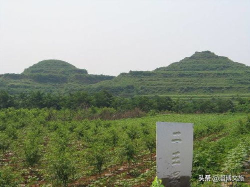 田齐和姜齐的关系，田齐芳